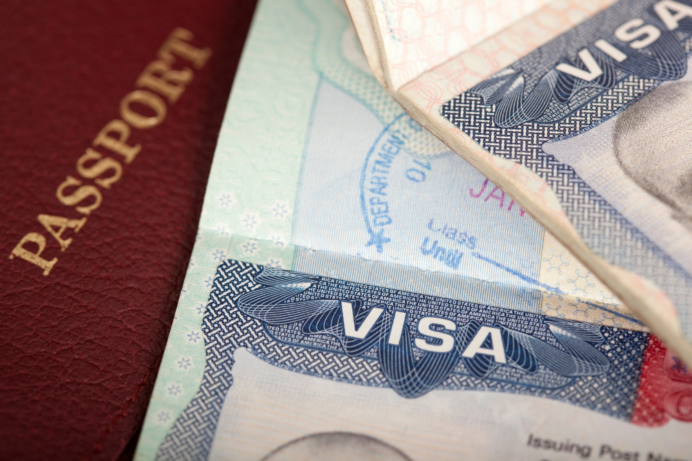 What is the difference between a U Visa and a T Visa?